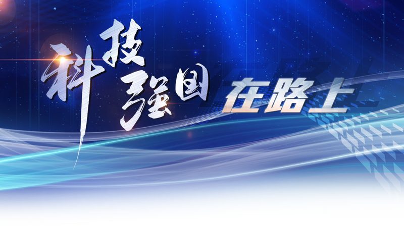 容器编排与Kubernetes：揭秘二者的本质区别
